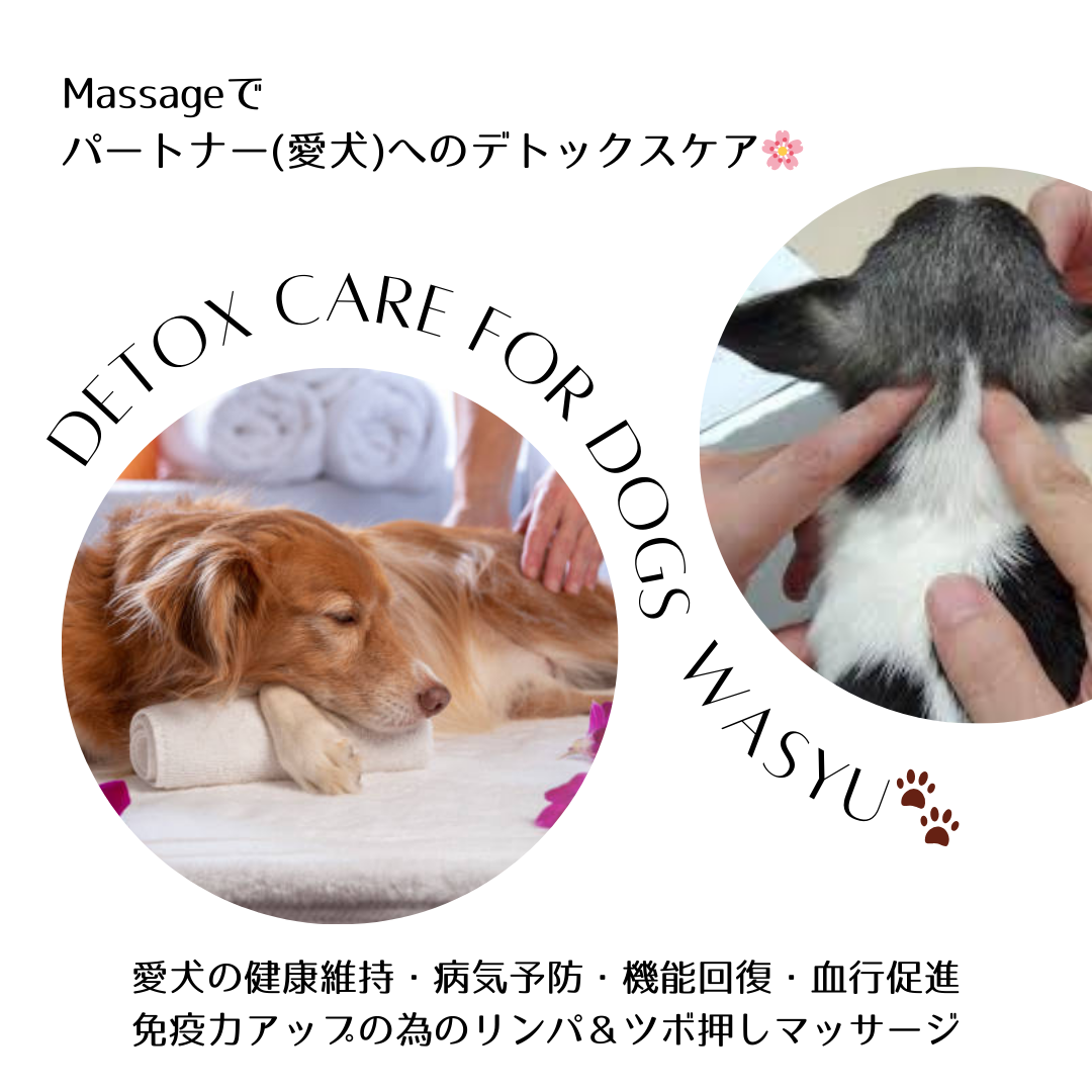 ドッグマッサージ