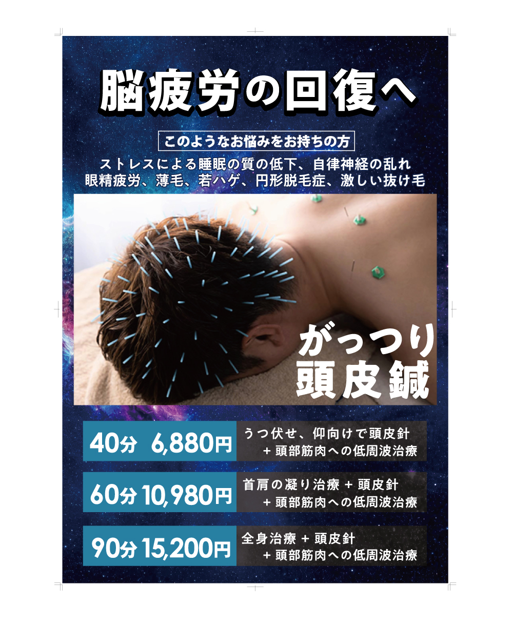 「がっつり頭皮針」
