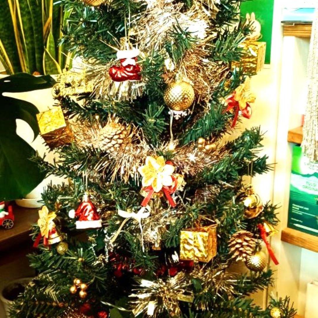 限定特別コース