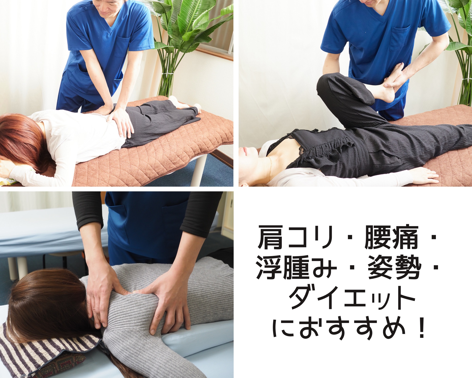 整体メニュー