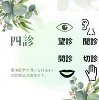 鍼灸会員　体質改善・免疫強化の鍼灸治療　不妊・冷え・凝り・むくみ・ボディーケア