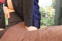整体バランスコース ※60以上のコースで+5分、90分以上のコースで+10分サービス中!